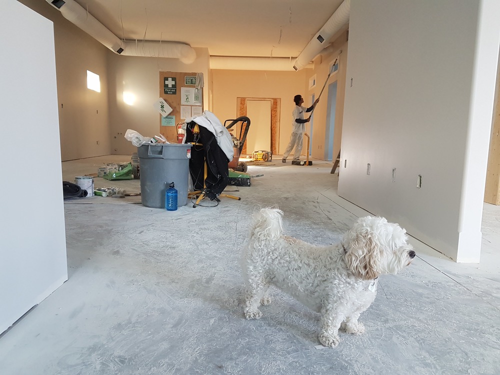 Trasforma la Tua Casa con lavorazioni in cartongesso